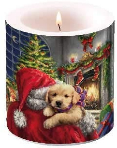 Ambiente Weihnachtskerze Welpe auf dem Feuer, 3Säulenkerze 8 Zentimeter Höhe.