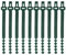 EMSea Kabelbinder aus Gummi, verstellbar, Gurte mit Schnalle für Pflanzen, Bäume, Weinreben, Garten, Landwirtschaft, 25 cm, 10 Stück