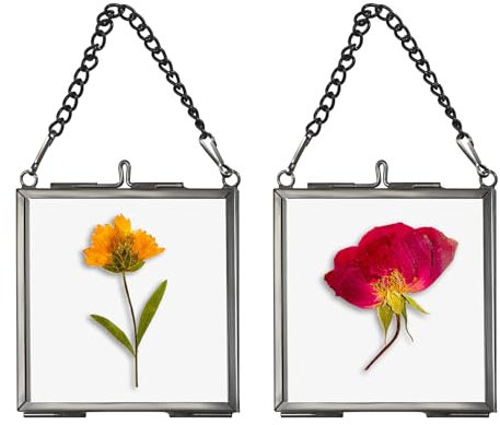 SUMTree 2 Pcs Mini-Quadrat Bilderrahmen aus Metall Glas Hängende Glas Fotorahmen Geometrische Ornament Pflanze Probe Clip Glasrahmen für gepresste Blumen Fotos 2.7 x2.7in/7 x7cm (nur Rahmen) (Schwarz)