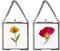 SUMTree 2 Pcs Mini-Quadrat Bilderrahmen aus Metall Glas Hängende Glas Fotorahmen Geometrische Ornament Pflanze Probe Clip Glasrahmen für gepresste Blumen Fotos 2.7 x2.7in/7 x7cm (nur Rahmen) (Schwarz)