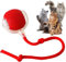 Sunshine smile Rolling Ball,Interaktives Hundespielzeug Ball mit Schnur,Interaktives Hundespielzeug,Katzenspielzeug Elektrisch mit USB Aufladbar