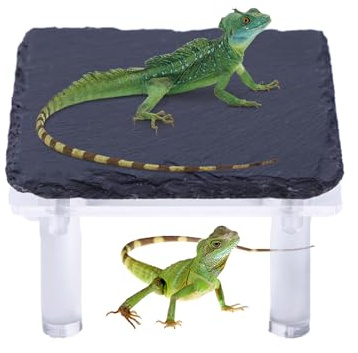 Schwimmgestein für Schildkröten | Höhle für Barbudrachen mit Halterung aus Acryl | Terrarium-Zubehör, Heizstein für Klettern und feuchte Umgebung