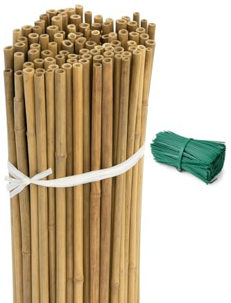 Tutores para Plantas de Bambú 120 cm Ø10–12 mm (Pack 100 Uds) con Alambres incluidos | Estacas para Tomateras, Huerto, Trepadoras, Pepinos, Ideal Cañas Tomates y Jardín - Color Natural
