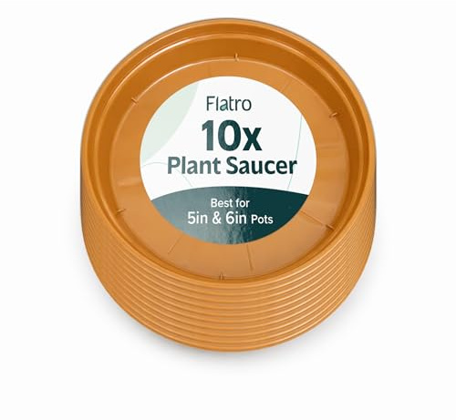 Flatro Plant Pot Saucers | Pack of 10 Terracotta Saucer to Hold 5-6 inches Pots | Plant Drip Tray for Home & Balcony | Flowerpot Saucers for Indoor Repotting | Surface Protection for Succulent Plants