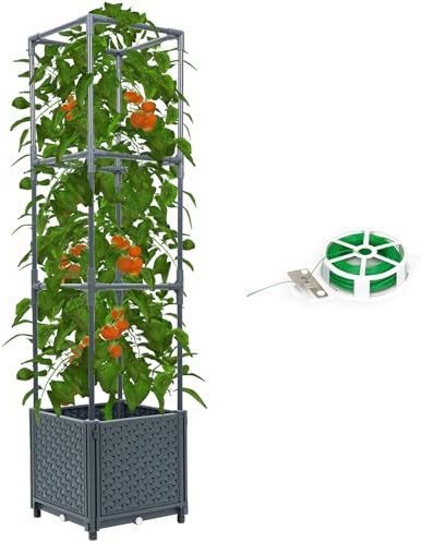 Tomato Planter with Trellis Cage Raised Garden Bed Planters Boxes with Tomato Plant Cages Support Self Watering Pots for Climbing Flowers Vegetable Vine Vegetables Patio Greenhouse Indoor Outdoor