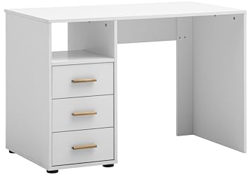 Schildmeyer Schreibtisch mit Stauraum Torge 702050, mattweiß, 109 x 58 x 74 cm