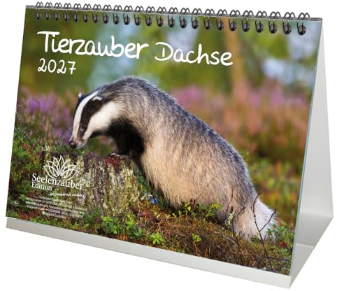 Tierzauber Dachse DIN A5 Tischkalender für 2027 Wald Natur Baum - Seelenzauber