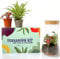 Kit terrario in Vetro Trasparente Fatto a Mano per Interni ed Esterni, centrotavola 19 cm, Kit con Felce e fittonia