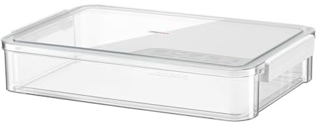 Flaroey A4 Transparent Storage Box Portable Plastic Document Stationery Jewelry Storage Case School White