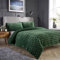 Olivia Rocco Teddy Duvet Cover Set Diamond Fleece Soft Fluffy Quilt Sets Thermal Warm Cosy Snug Bedding. Double Emerald Green