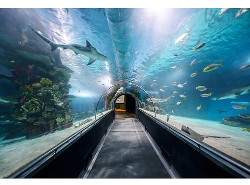 Ttincceer Aquarium Hintergrund 1.8x1.2m Unterwasser-Vergnügungspark, Kanallandschaft, Meereslebewesen, Haie, Fische, Riff, Fotografie-Hintergründe, Aquarium-Dekoration, Banner