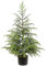 Künstlicher Norfolk-Kiefer mit Topf, 91,4 cm, grüner künstlicher Weihnachtsbaum für Veranda, Innen- und Außenbereich, Weihnachtsdekoration