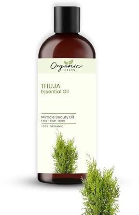 Organic Bliss Thuja Essential Oil 100% Pure and Natural Therapeutic Grade Essential Oil for Hair Skin Care (50 ML)