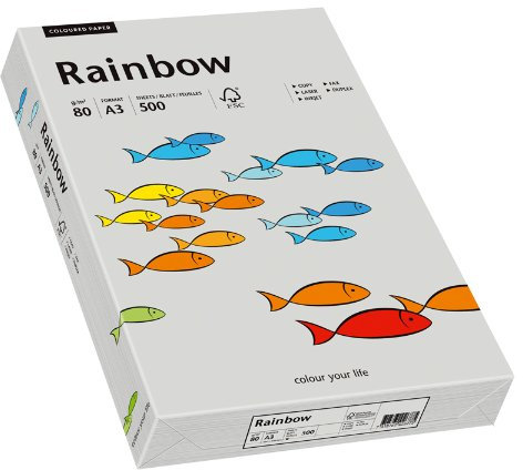 Papyrus 88042808 Farbiges Kopierpapier, Bastelpapier: Rainbow 80 g/m², A3, 500 Blatt, Grau