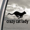 Crazy Cat Lady Black Decal Car Truck Bumper Window Sticker