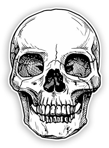 2 x 10cm/100mm Skull Vinyl Stickers Travel Luggage Horror Scary #7453