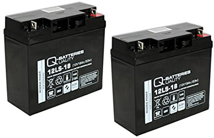 Ersatzakku für APC Smart-UPS SMT1500I RBC7 RBC 7 / Markenakku mit VDs