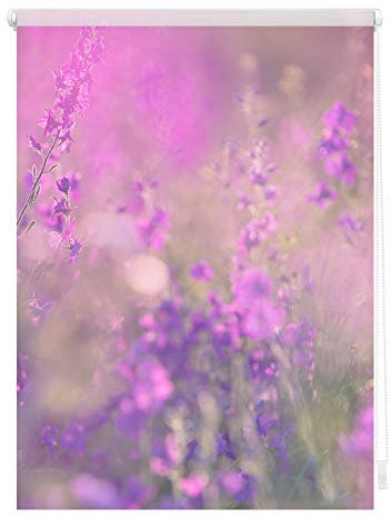 Lichtblick Klemmfix Tageslicht-Rollo mit Motiv, ohne Bohren, Blickdicht, Seitenzugrollo, Made in Germany, Blumenwiese - Fuchsia Violett 80 x 150 cm (B x L)