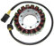 Lichtmaschine BMW F800ST Power Stator