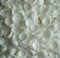 Snap-On Two Piece Dome Screw Cover Caps - Pack of 50 Large Matt Caps & Bases : White