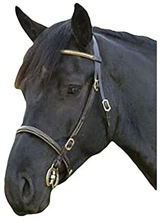 Reithalfter mit Stirnriemen von Shires, handgeführt Cob schwarz