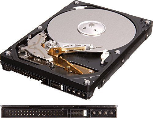 Western Digital WD2500AAJB Blue 250GB interne Festplatte (8,9 cm (3,5 Zoll) 7200rpm 8MB PATA)