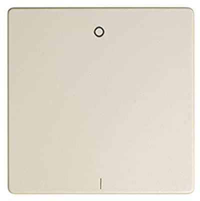 Simon 82031-31 - Tecla Interruptor Bipolar 16A