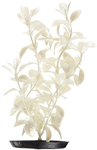 Marina Pearlscaper Red Ludwigia Planta, 20,3 cm, Color Blanco