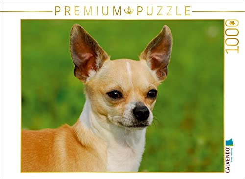 CALVENDO Puzzle EIN Motiv aus dem Kalender Chihuahua - Kleine Hunde ganz groß | 1000 Teile Lege-Größe 64 x 48 cm Foto-Puzzle für glückliche Stunden