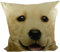 Mars & More - Fullcolor Kissen - Labrador - blond - 100% Baumwolle 50 x 50 cm