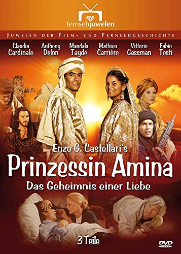 Prinzessin Amina: Das Geheimnis einer Liebe - Teil 1-3 (Fernsehjuwelen) [2 DVDs]
