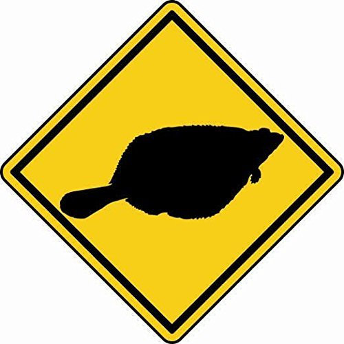 U24 Aufkleber Vorsicht Scholle Fisch Autoaufkleber Sticker