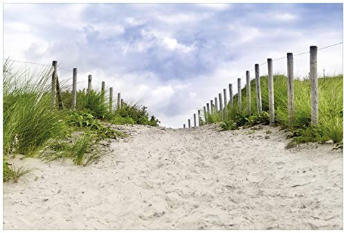 Wallario Premium XXL-Vliestapete Auf dem Weg zum Strand durch Dünen - Fototapete Größe: 400 x 267 cm