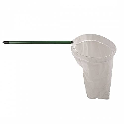 Duvoplus, NORIETTE NR1, robust, 13 cm, Vögel, Vögel