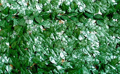 VERDELOOK Sempreverde® Point, Siepe Artificiale 1.5x20 m, Foglia Lauro, Decorazioni Giardino