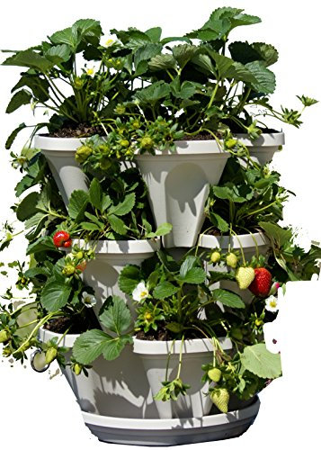 Lot de 3 Pots de Fleurs empilables avec Soucoupe inférieure - Couleur Pierre - Pots verticaux pour Herbes, Fraises, Fleurs