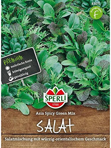 Salatmischung Asia, Spicy Green Mix