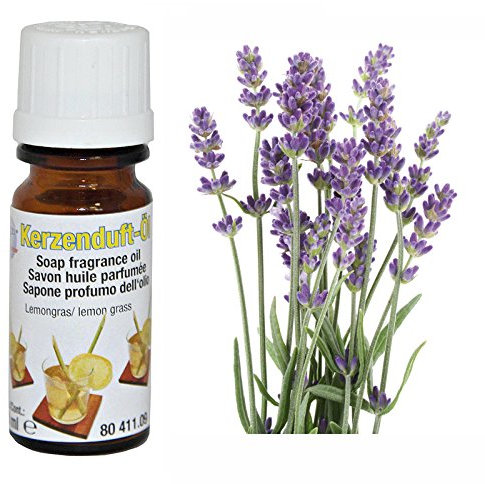 CREATIV DISCOUNT Kerzen-Duftöl, 10ml, Lavendel