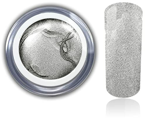 Farbgel Silber metallic Uv-Gel Led Nagelgel Studio Qualität RM Beautynails 1x 5ml (1er Pack)