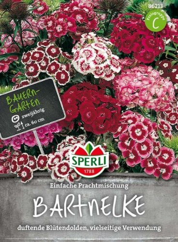 Sperli Bartnelke Einfache Prachtmischung