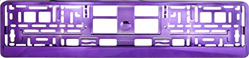 TAPORT® CAR REGISTRATION HOLDER FOR ANY CAR, VAN, TRUCK, TRAILER (PURE PURPLE)
