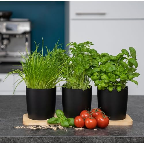 Novaliv Stilvolle Kräuterstation 6er Set mit Holzunterlage - Kräutertopf für jede Fensterbank, Für frische Küchenkräuter, Kräutergarten für die küche, Kräuterbeet indoor, Blumenkasten, Pflanzentopf