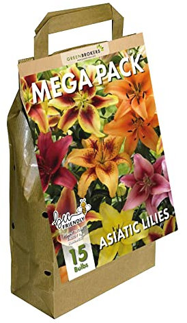 Mega Pack Lilies | 15 Mixed Summer Flowering Bulbs | Bee & Butterfly Friendly | Eco Packaging | Premium Holland Selection Quality