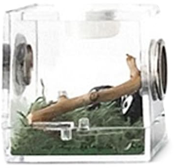 Mini-Insekten-Futterbox, Krabbelbox aus Acryl für die Zucht von Haustieren – transparente Aufbewahrung von Lebendfutter, Insektenbeobachtungsbox - für Spinnen, Grillen, Schnecken, Einsiedlerkrebse, Vo