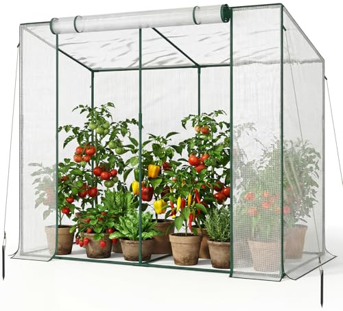 SUNYRISY Tomaten Gewächshaus Klein Foliengewächshaus 200x100x170 cm, Tomatenhaus Tomatenzelt mit Tomatendach, Greenhouse mit Rollentür und Windschutzseil für Balkon Outdoor, Weiß