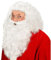 W WIDMANN MILANO Party Fashion S0867 - Perücke Weihnachtsmann mit Bart