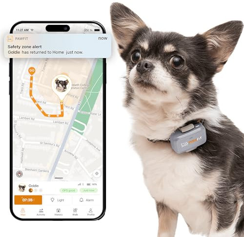 Pawfit Lite for Dogs 4g GPS Tracker | Real Time Tracking | Activity Monitoring |Location History | Unlimited Range | Safety Collar Included | Lilac grey