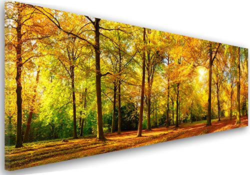 Feeby Bilder Wald Bäume 150x60 cm Wohnzimmer Schlafzimmer Büro Flur Küche Wandbilder Modern Bild auf Leinwand Wanddekoration Kunstdruck Design Natur Sonne Braun Grün