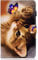 Bspring Case for Lenovo Tab M10 HD (2nd Gen) 10.1-inch Tablet 2020 Ultra Slim TPU Leather Cover Anti-Drop Protective Cover Case for Lenovo Tab M10 HD (2nd Gen) TB-X306X/TB-X306F,Cat