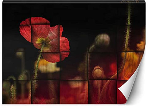 Feeby Papier Peint Intisse Motif Géométrique Coquelicots 400x280 cm rouge Déco Murale Trompe L' Oeil Tapisserie Moderne Salon Chambrea' Coucherr Salle De Bain Cuisine Abstrait Nature Fleurs